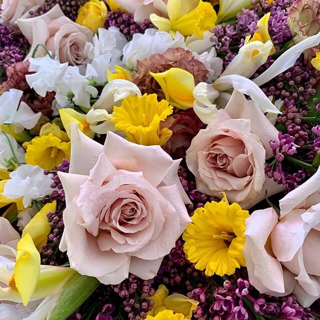 Monday 💛
.
.
.
.
.
.
.
.
.
.
.
#streetblooms #streetbloomssd #socalflorist #weddingflorist #sdflorist #floristlife #springflowers #flowerdelivery #flowerstagram #flowersofinstagram #flowers #summerflowers #inspiredbypetals #inspiredbyflowers #elopem