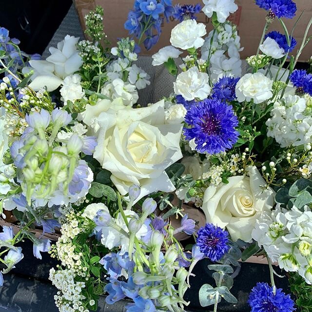 Tara + Leah 💙🤍
#elopementbouquets
.
.
.
.
.
.
.
.
.
.
.
#elopement 
#elopmentwedding 
#elope 
#elopementlove 
#microwedding 
#minimony 
#streetbloomssd 
#streetblooms 
#socalflorist
#socalweddings 
#socalweddingflorist 
#sdflorist 
#flowerdelivery 