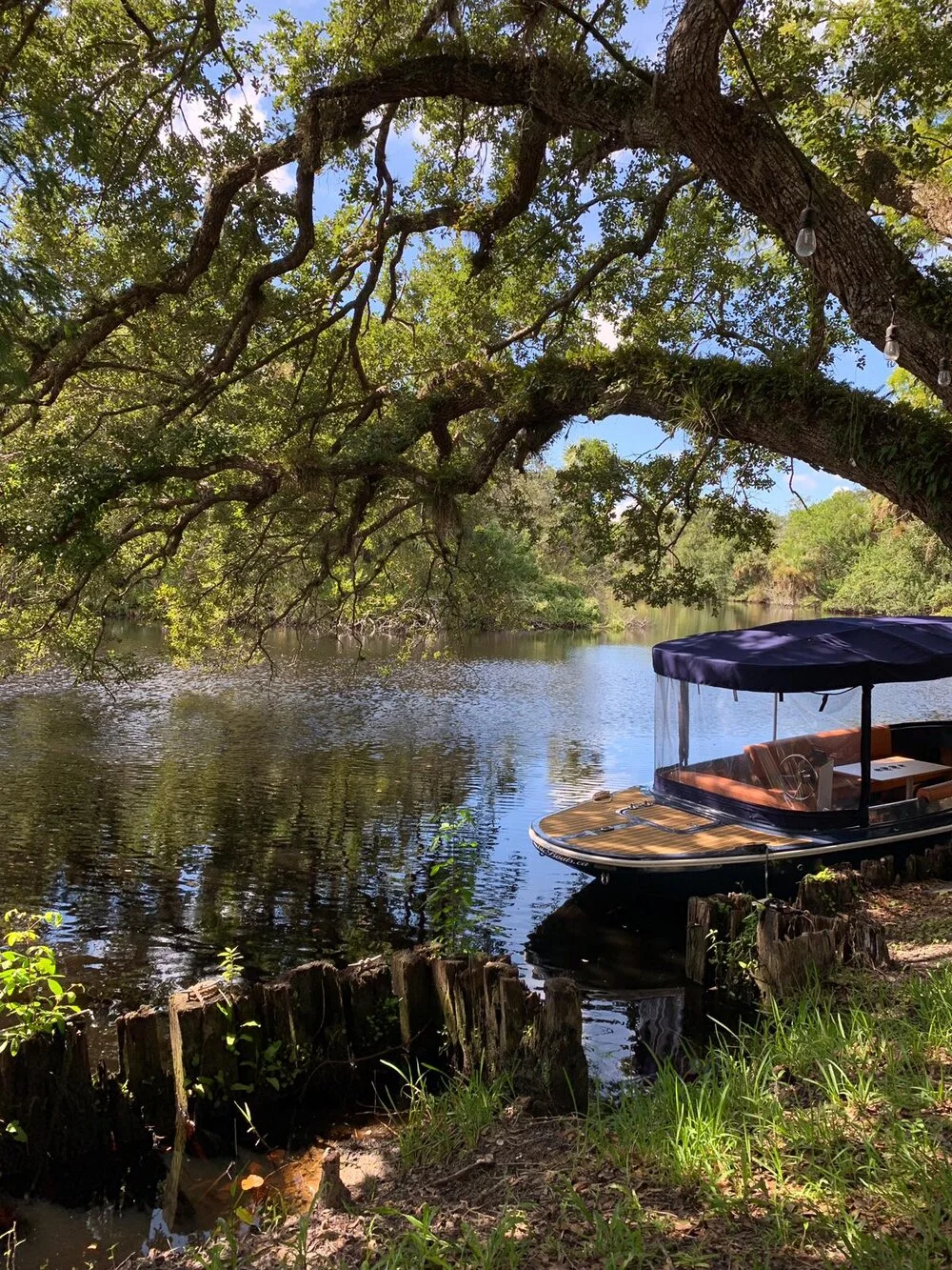 WhatsApp Image 2019-08-26 at 5.31.29 PM.jpeg