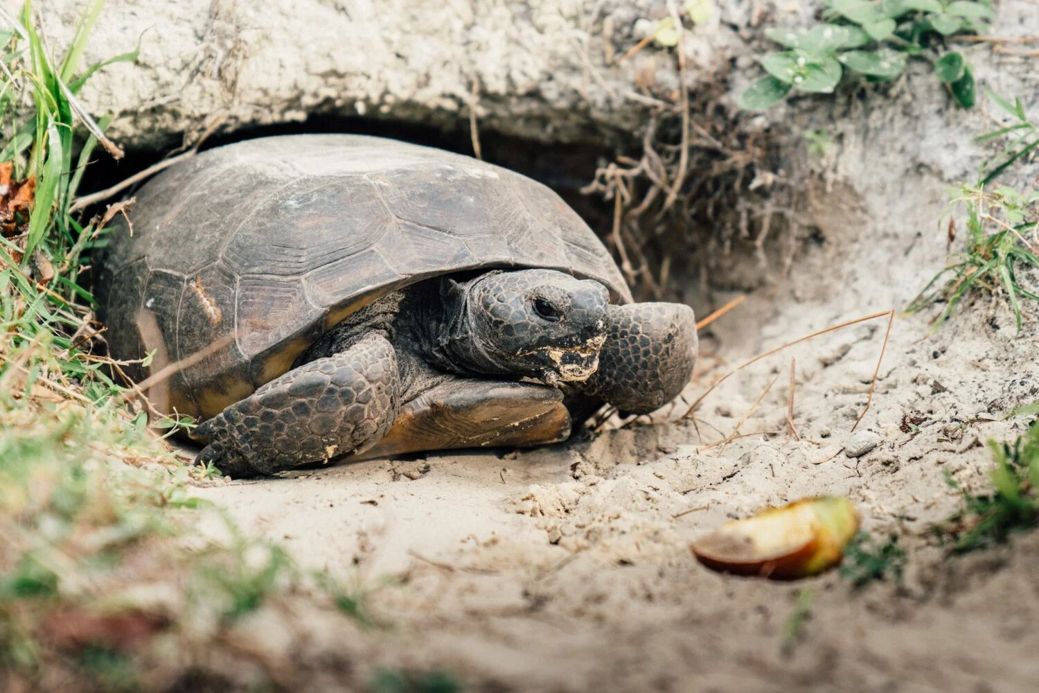 WhatsApp Image 2019-08-22 at 11.40.54 PM.jpeg