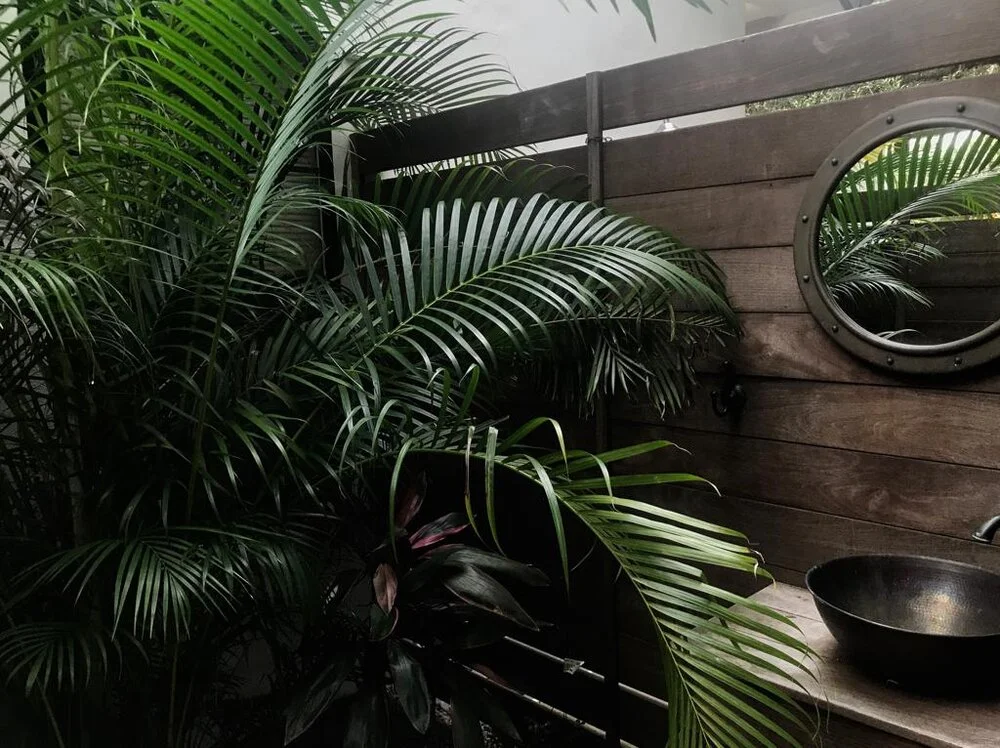 WhatsApp Image 2019-08-23 at 5.53.03 PM.jpeg