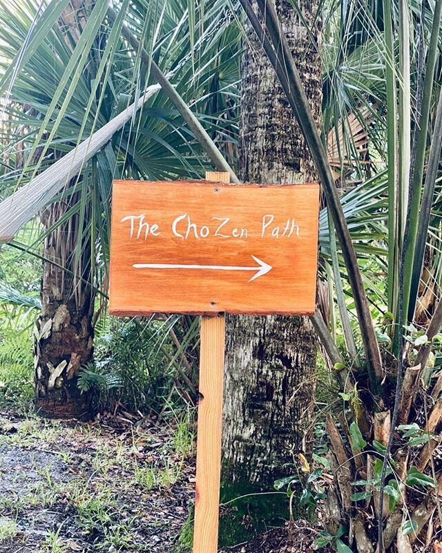 Life is a journey, not a destination. Enjoy every moment as if it were your last because you never know when it will be. Walk your ChoZen Path. #chozenpath #consciousliving #chozenretreat #floridasafari.