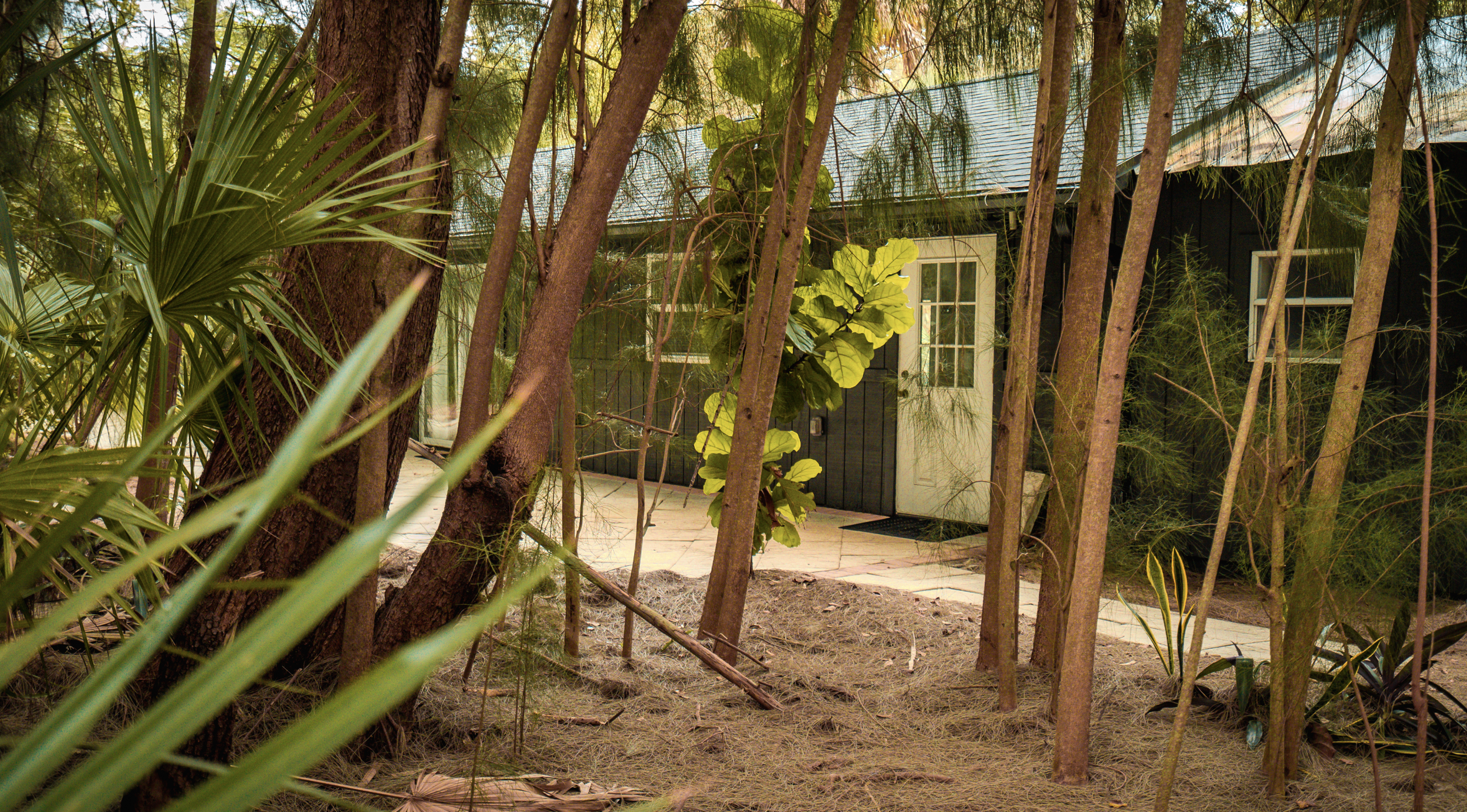 A black house with a white door, surrounded by trees and plants, with a stone pathway leading to the door.
