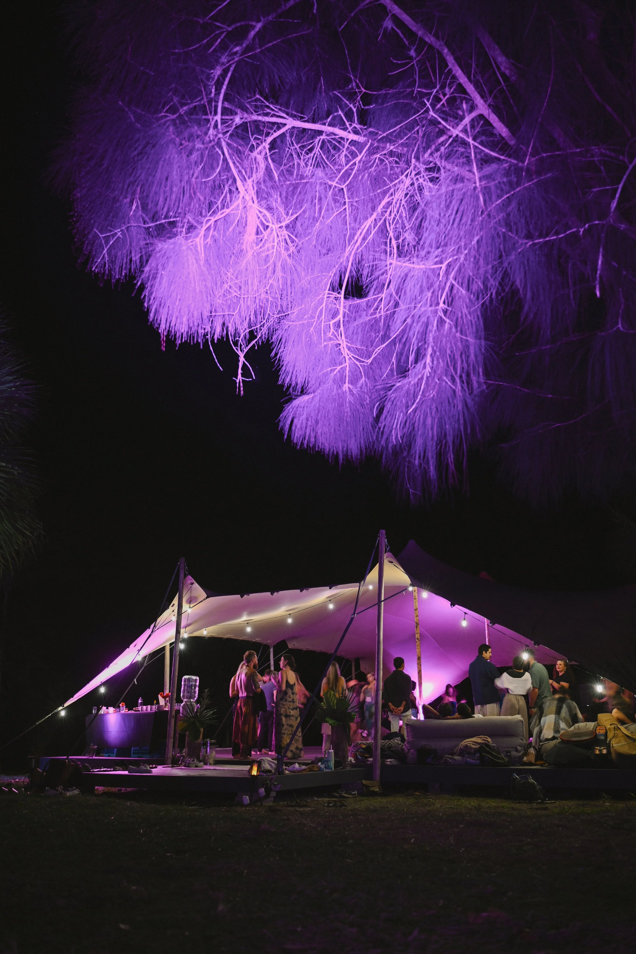 Nighttime outdoor party under a large purple-lit tree with a white tent, people socializing, and string lights.