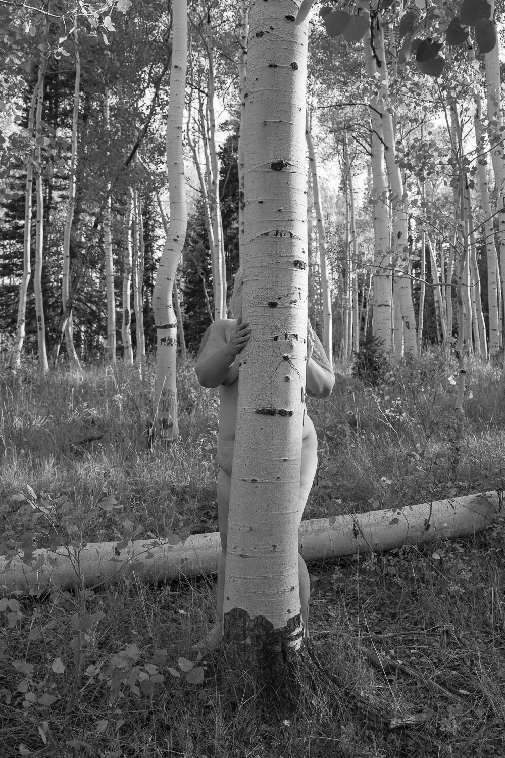 tree-hugger-fine-art.jpg