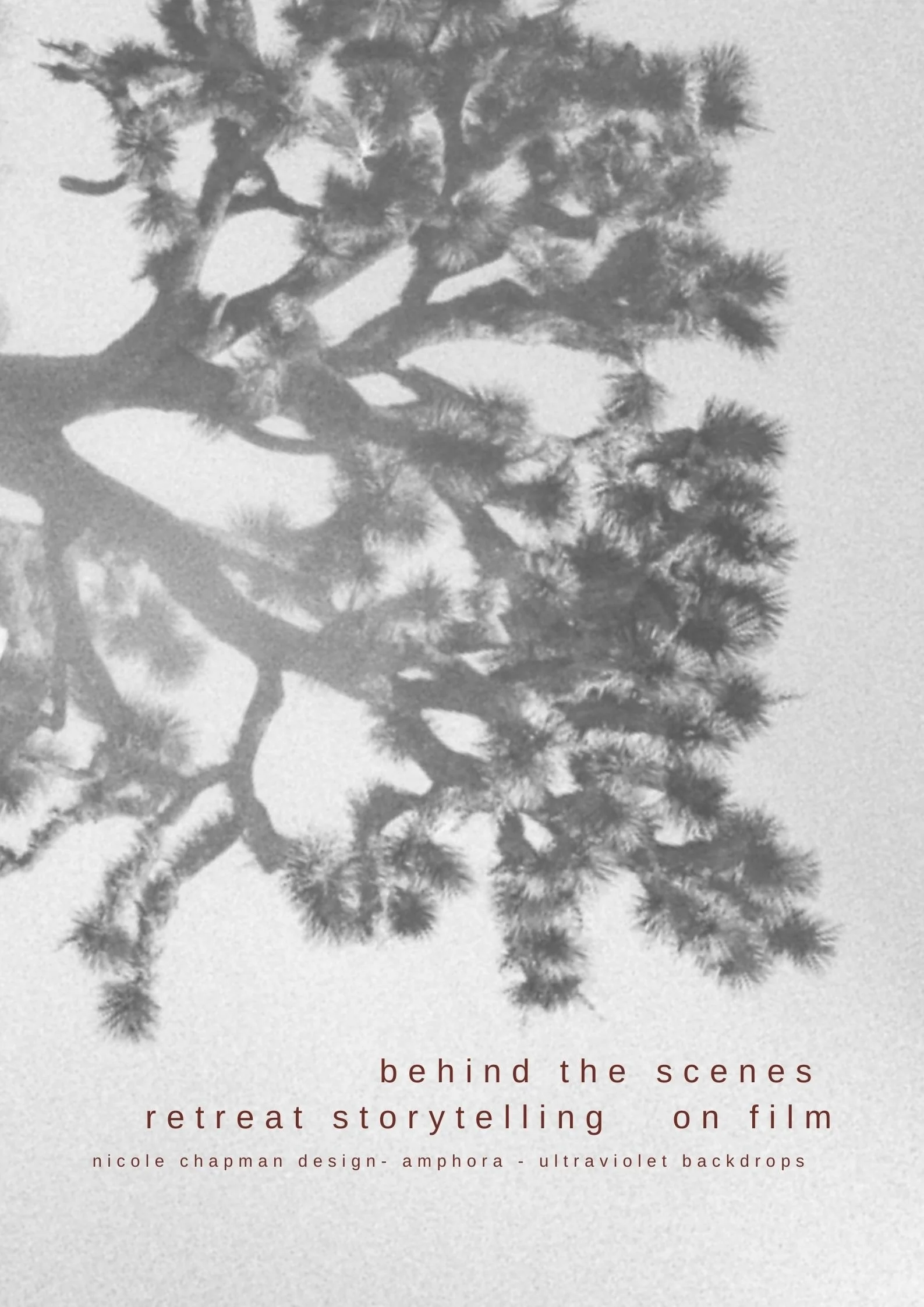 Behind the Scenes on Film- Luxury Workshop Retreat Storytelling for Nicole Chapman