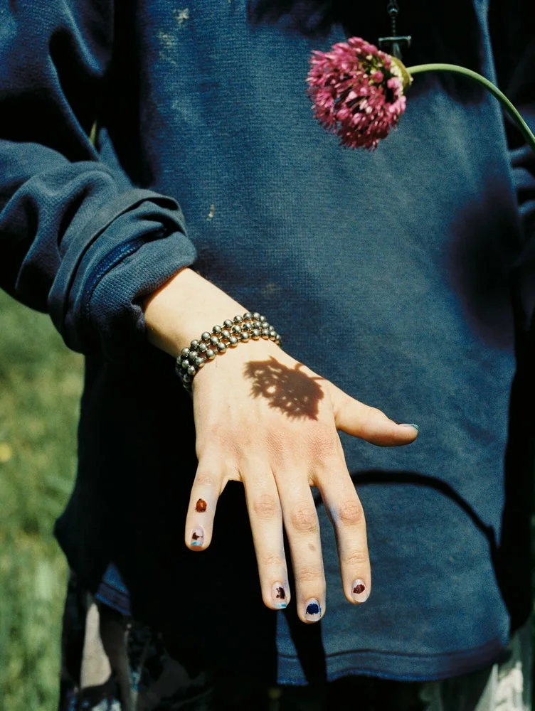 allium shadow on film.jpg