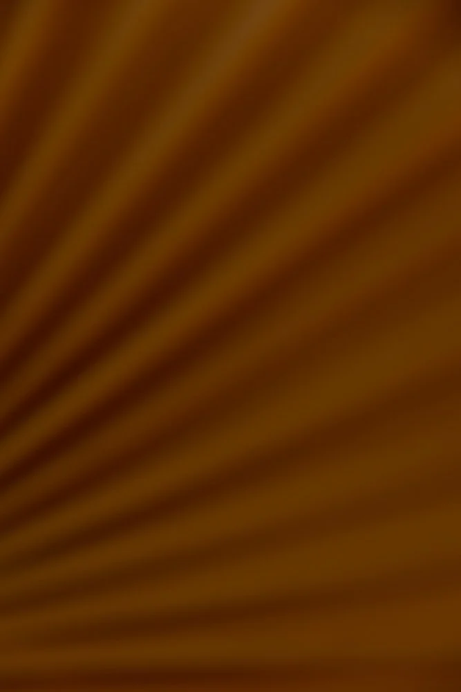 lightplay photography.jpg