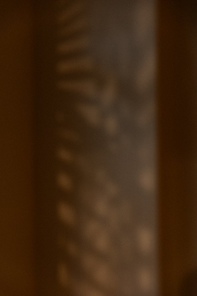 ambiant images salon.jpg