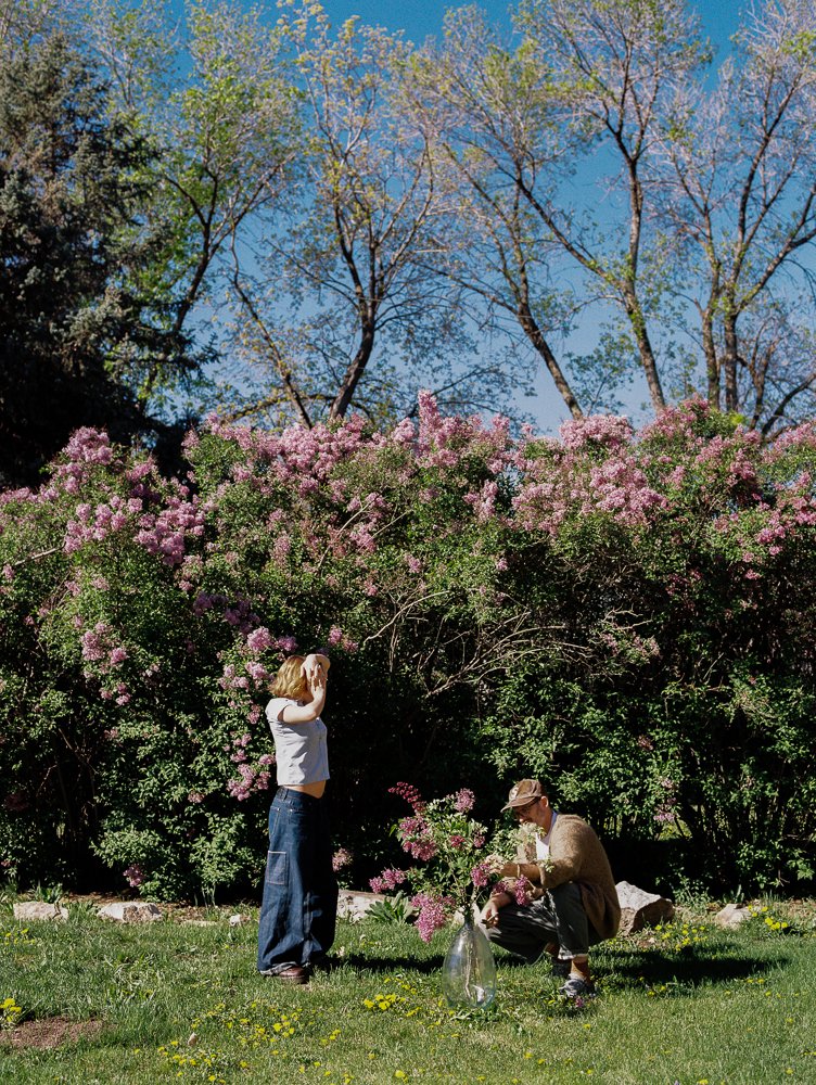 man and woman arrange lilacs on grass with dandelions, Chinese elm and lilacs