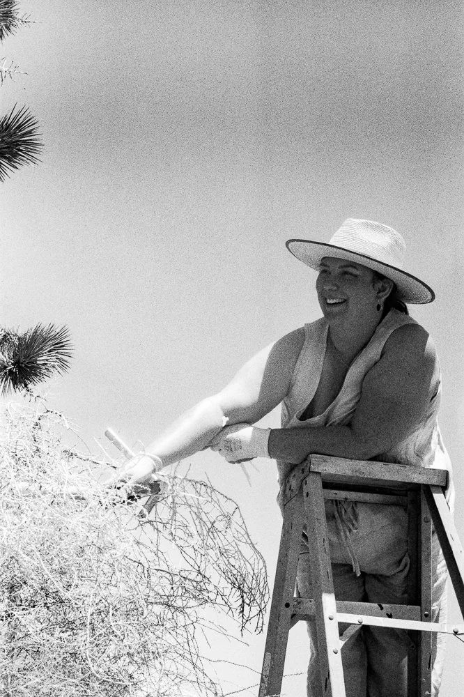 floral artist Nicole Chapman works with tumble weed on a ladder wearing a sun hat