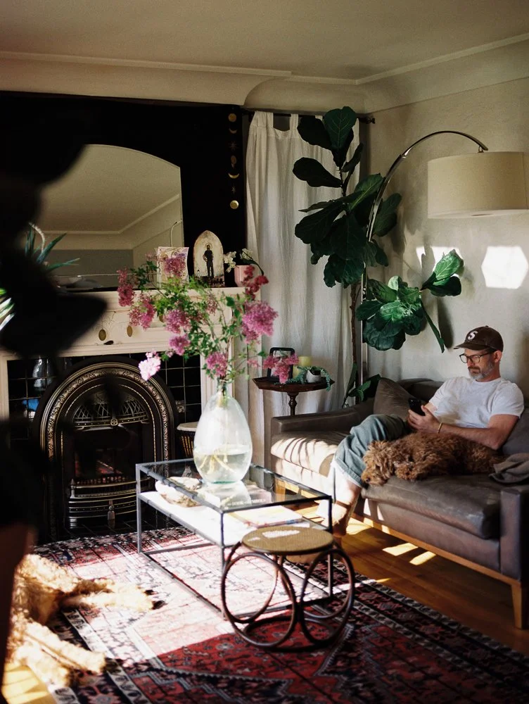 fiddle fig, arch silver lamp, goldendoodle, fireplace