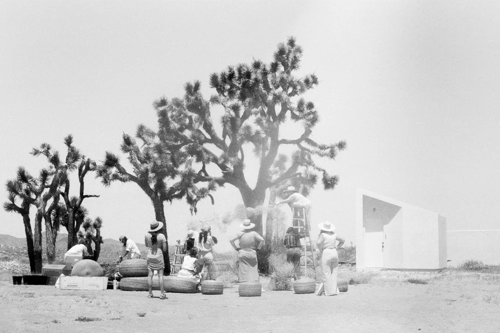Florists create install under Joshua Trees