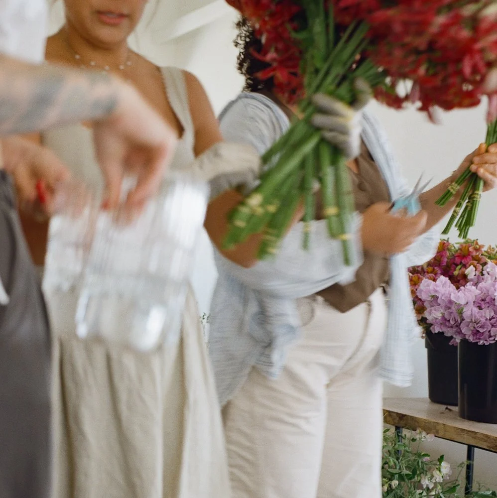 Nicole Chapman design team