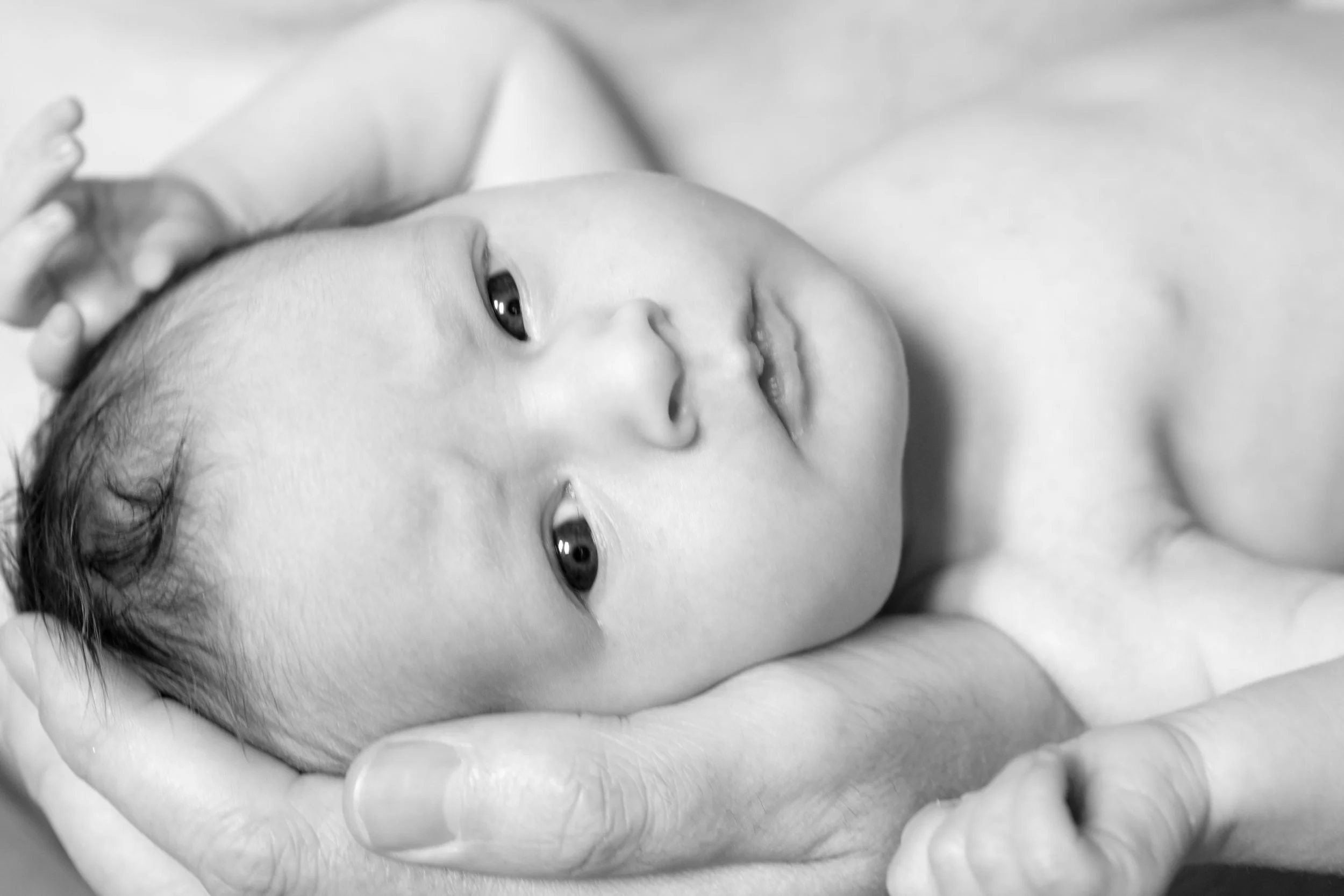 baby_Photography 20081031.jpg