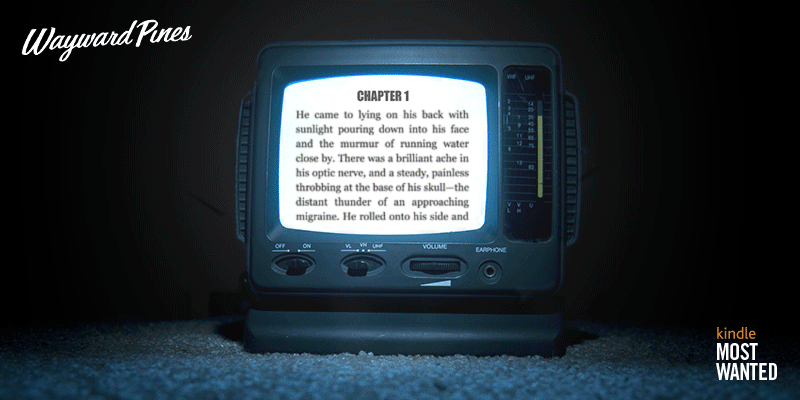 Wayward cinemagraph tv_400x800_v3-copy-2.gif