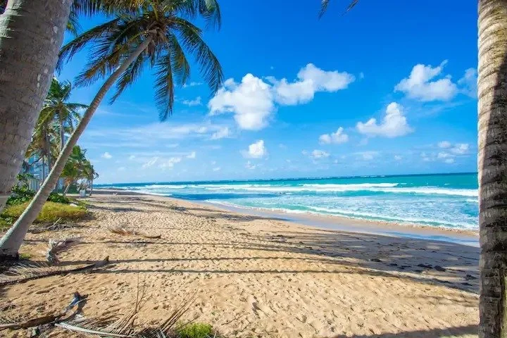 resized-image-Promo (34).jpeg