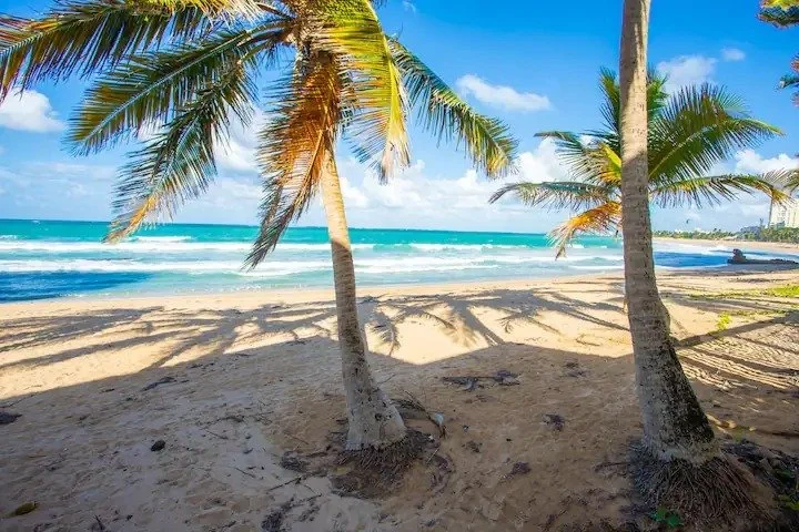 resized-image-Promo (31).jpeg