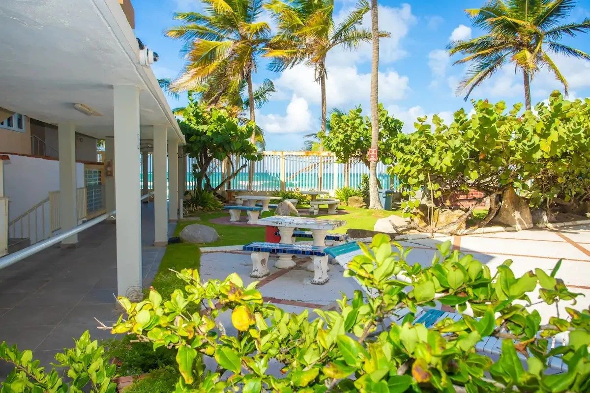 resized-image-Promo (27).jpeg