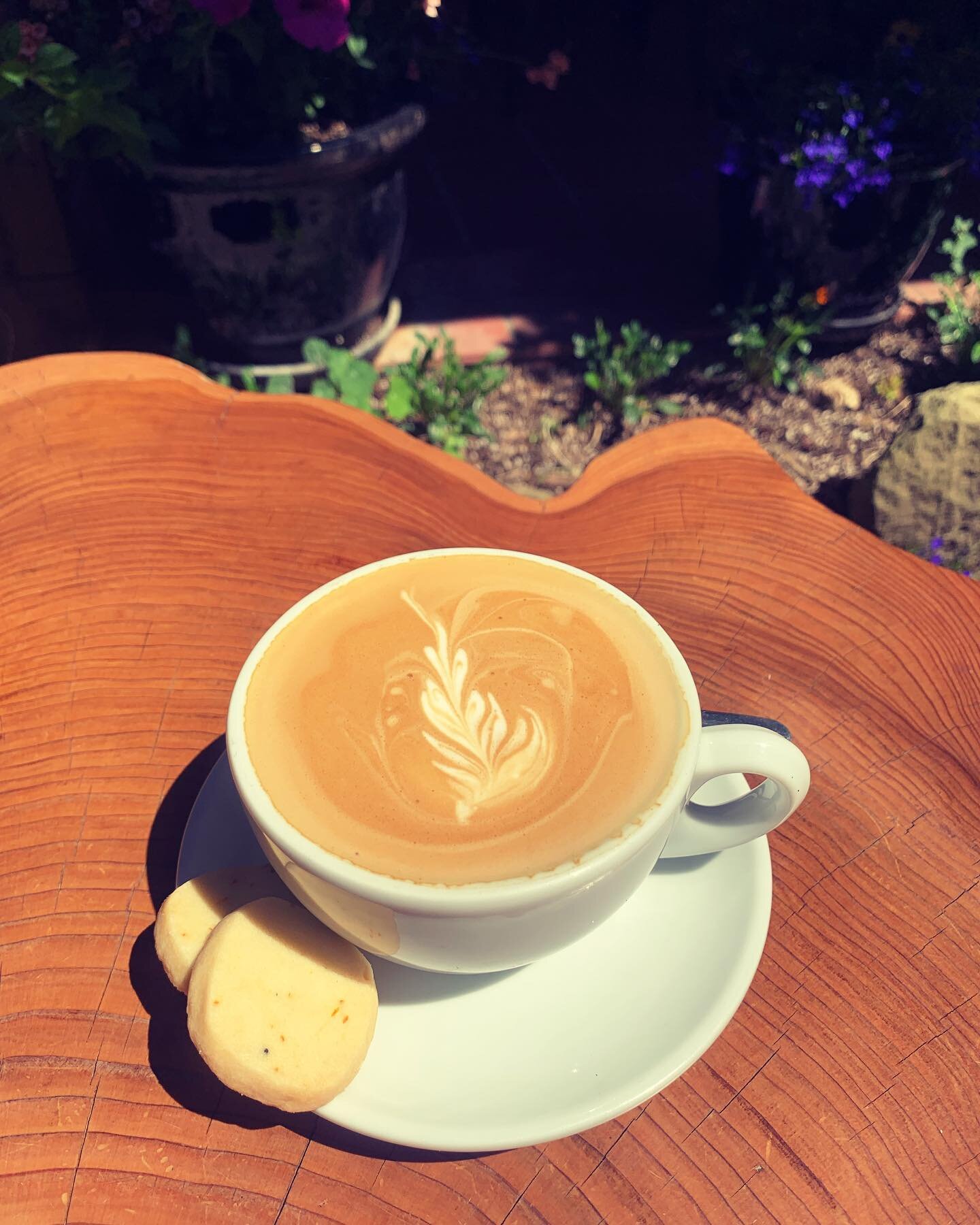 Now pulling some exquisite new espresso from @elysiancoffee 💜 My favourite shortbread creation yet - organic fresh lavender and orange zest! #galianoisland #southerngulfislandsbc #organic #sunnypatio
