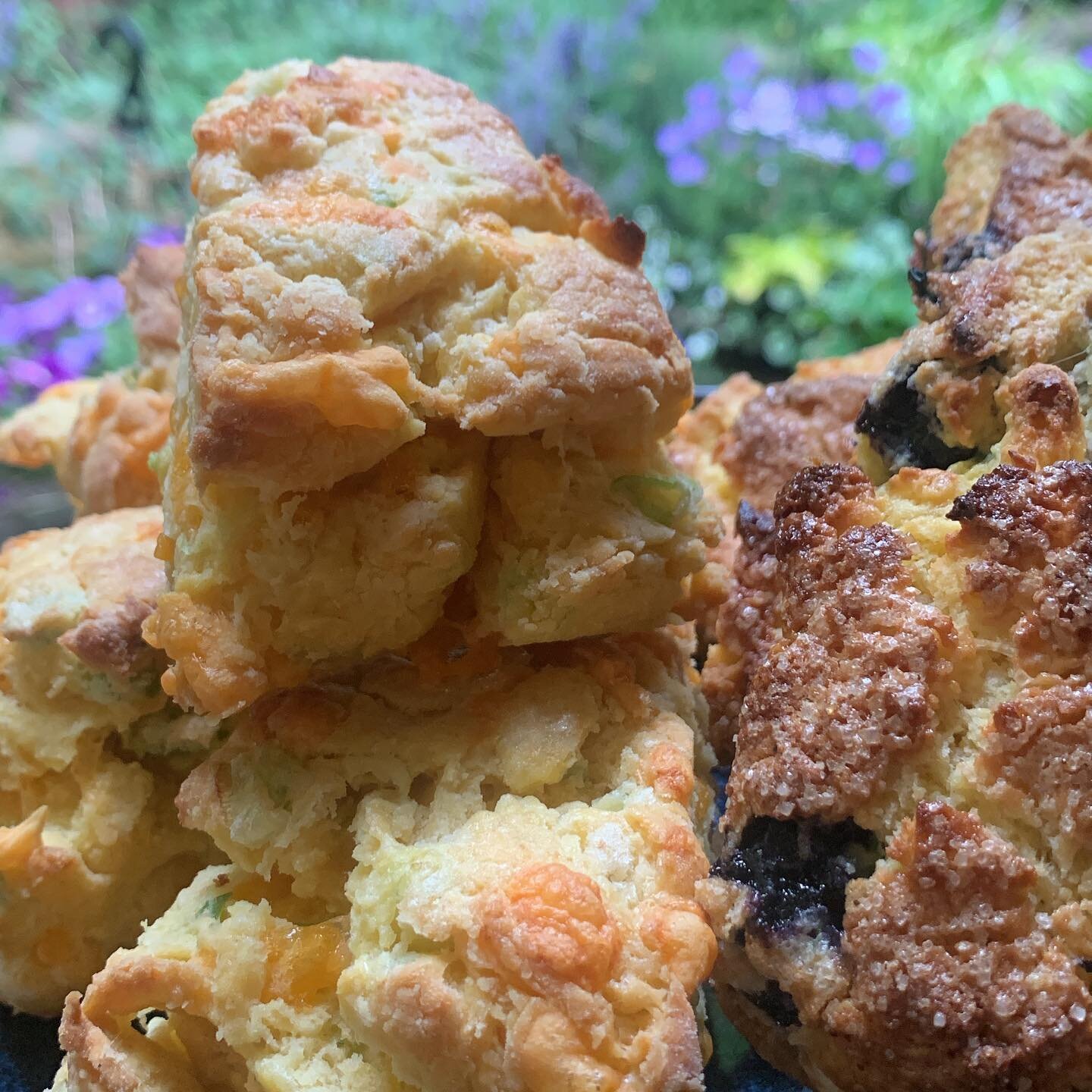 I&rsquo;ve got my A-game on today kids! Fresh organic blueberry lemons scones, organic chai shortbread, organic cheddar &amp; green onion scones, house-chai made with organic ginger and cardamom on the stove - what more could you ask for on a warm dr