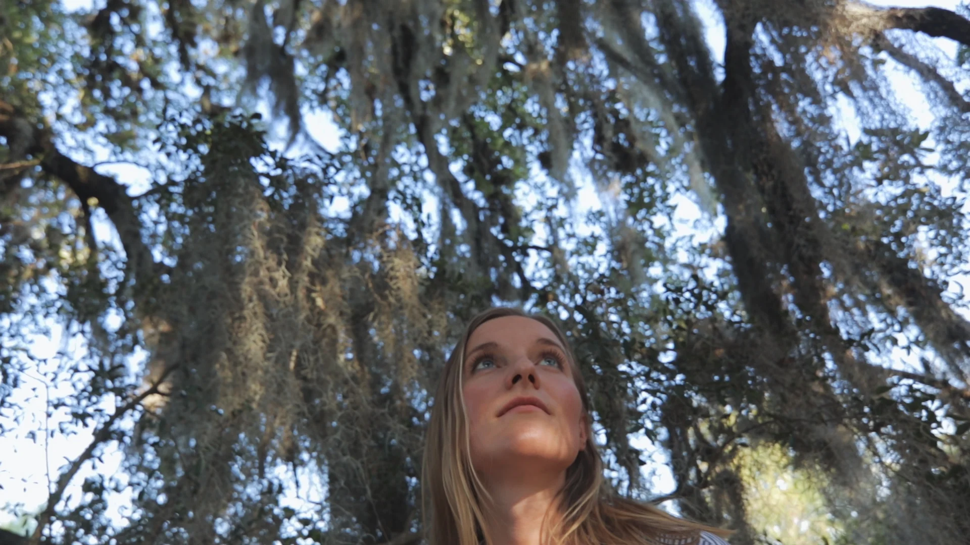 Paradise Lost + Sound Mix.00_00_14_12.Still004.jpg