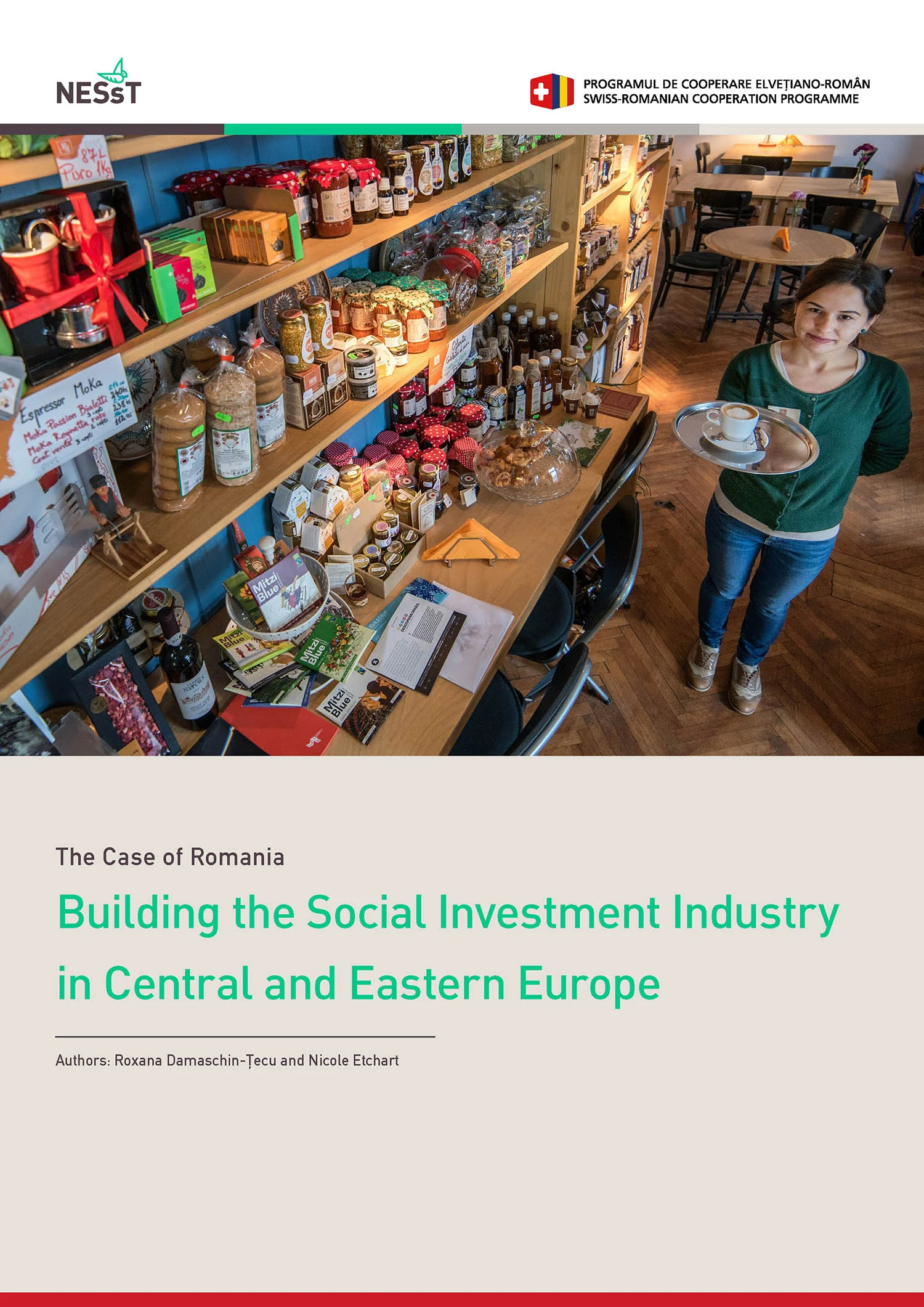 Building the Social Investment Industry in Central and Eastern Europe: The Case of Romania