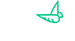 NESsT-logo-footer.png