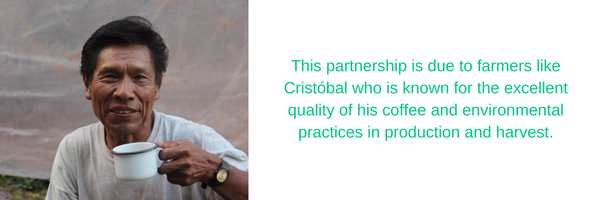 cristobal-eng