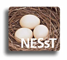 nesst_logo_220x200