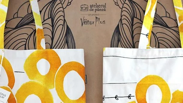 Viitor Plus Association