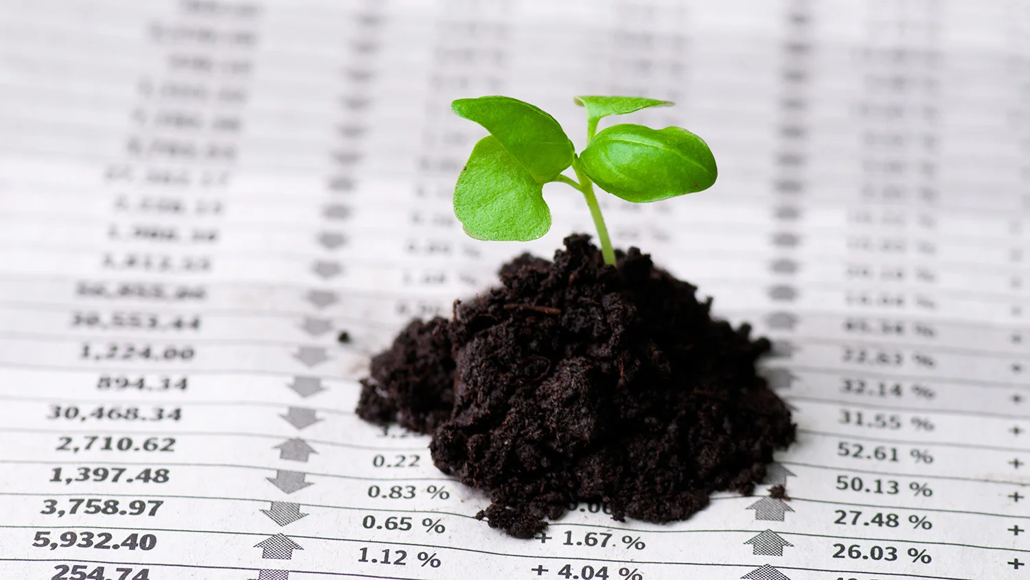The Financial Sustainability of Social Enterprises in Romania