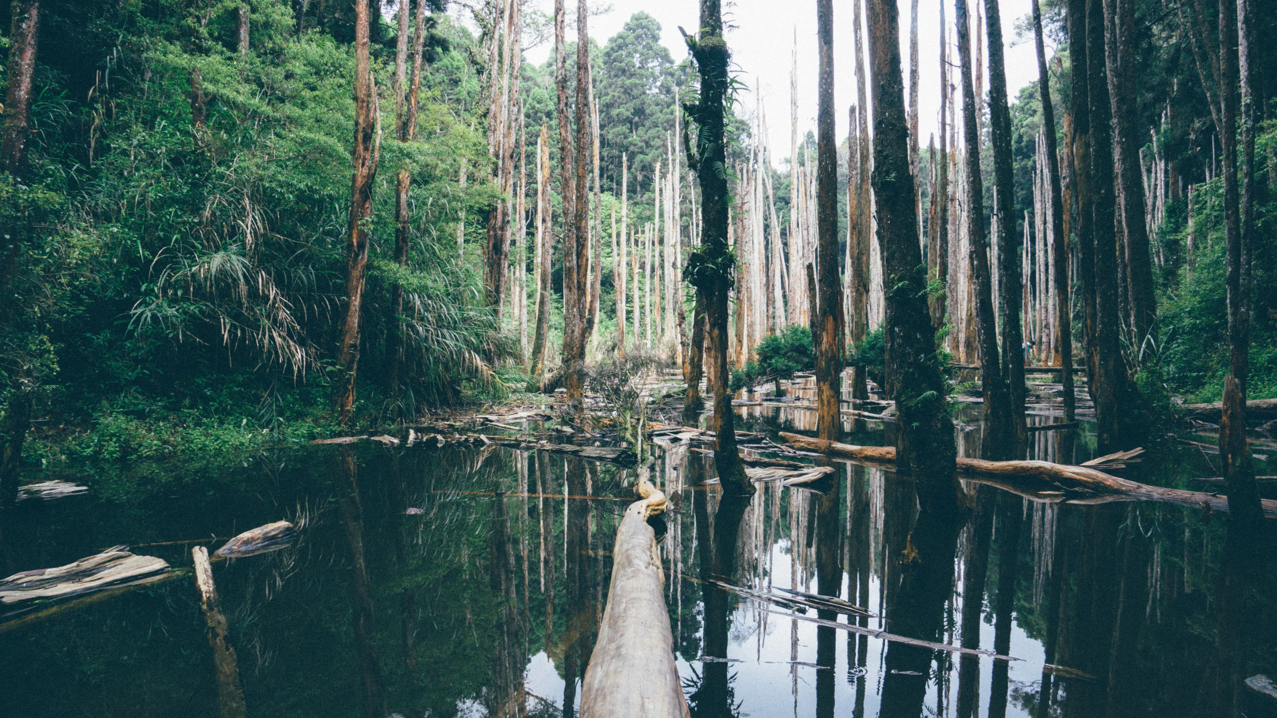 We all profit from environmental conservation and biodiversity