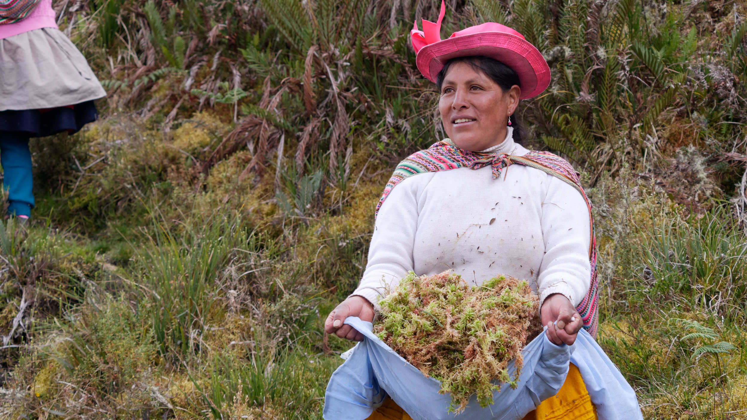 Inka Moss - Peru.jpg