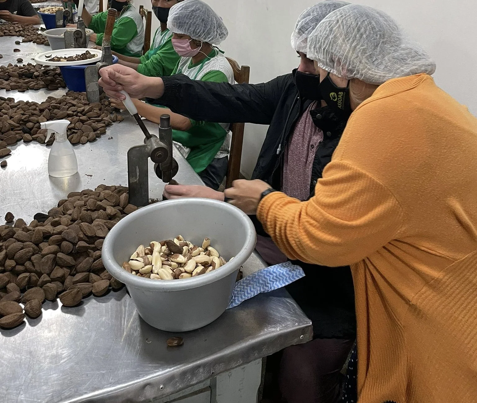 ASSOAB recebe certificação inédita e poderá exportar a castanha