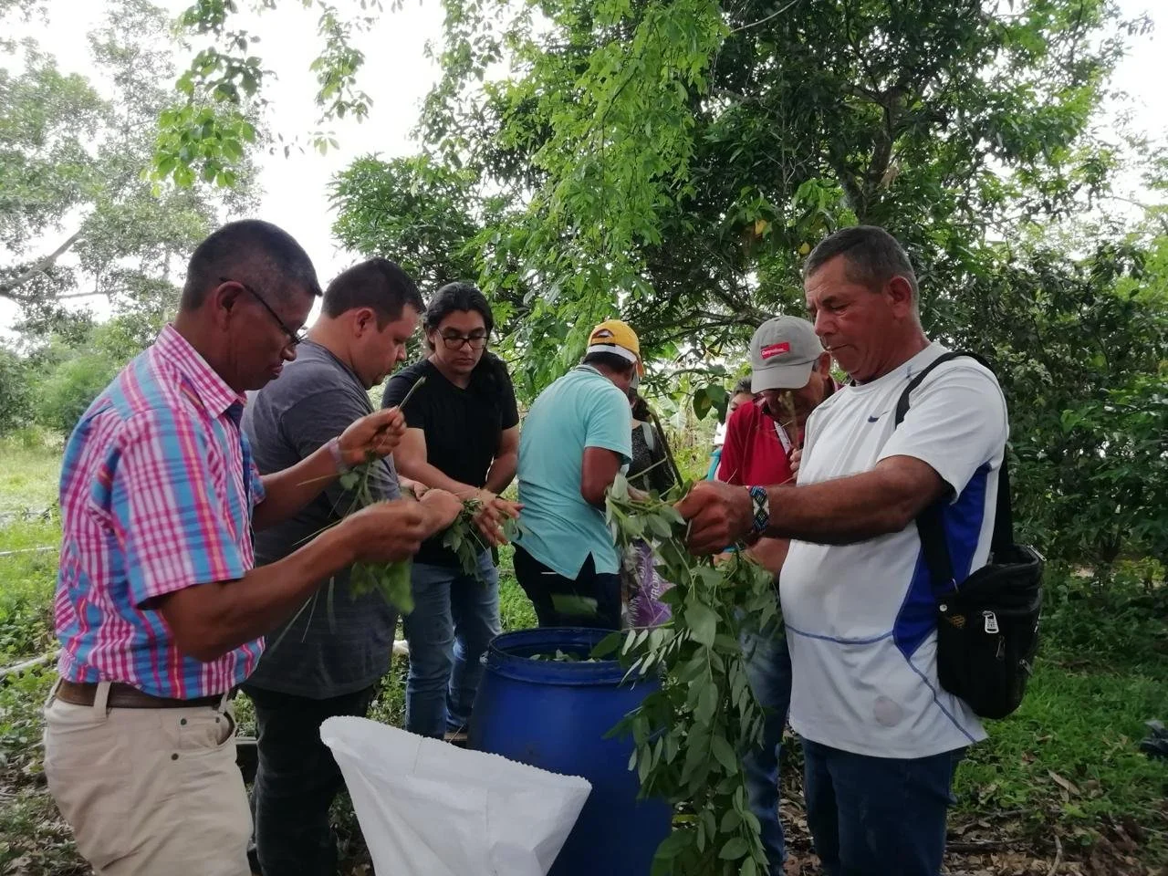 COP16: Bioeconomy for Biodiversity in the Tropics: Challenges in Sustainable Value Chains