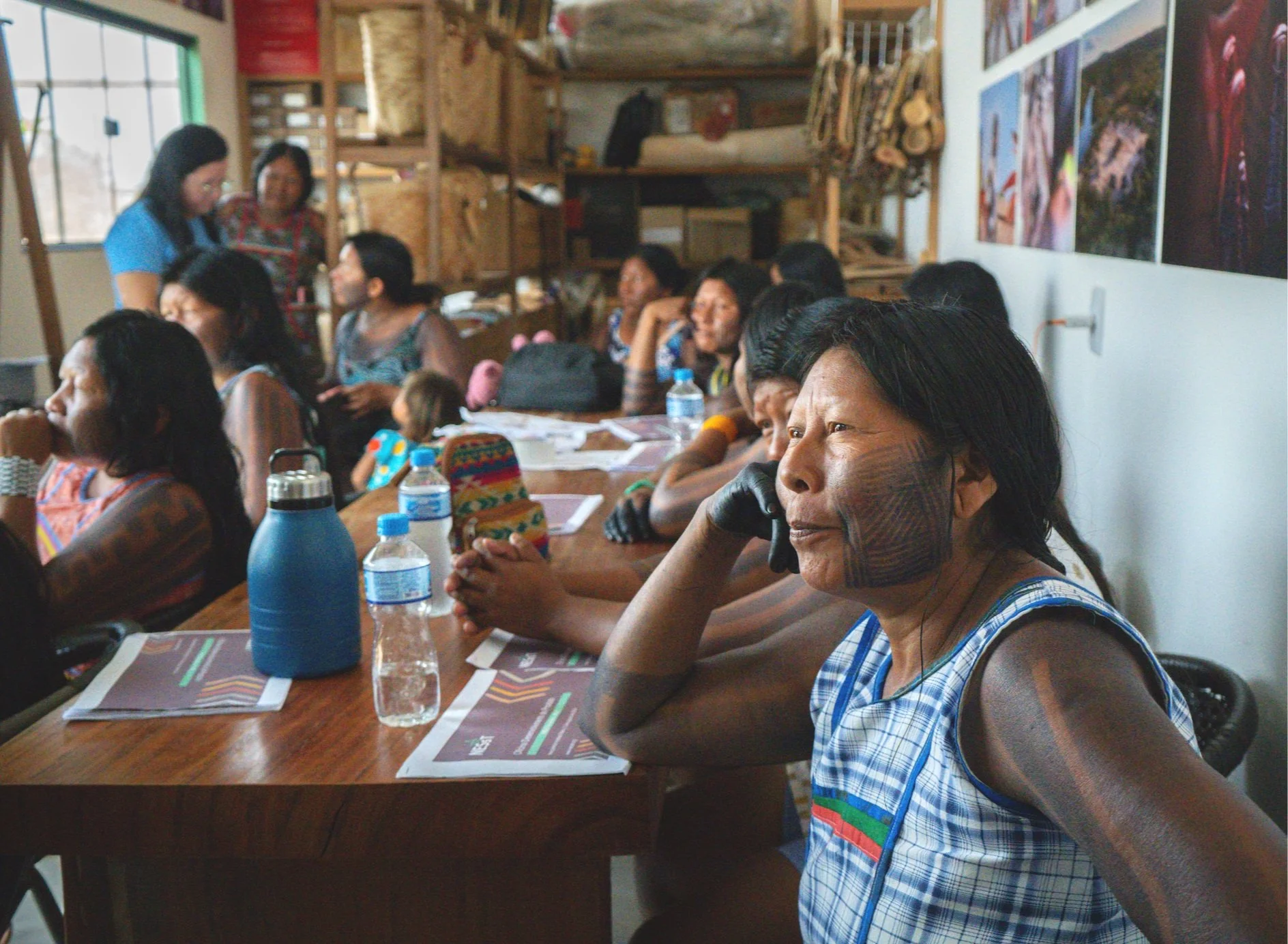 Why an Inclusive Definition of the Bioeconomy Matters for Financing Amazon Enterprises