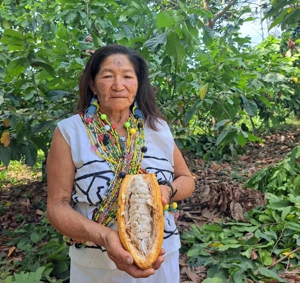 Kulkao