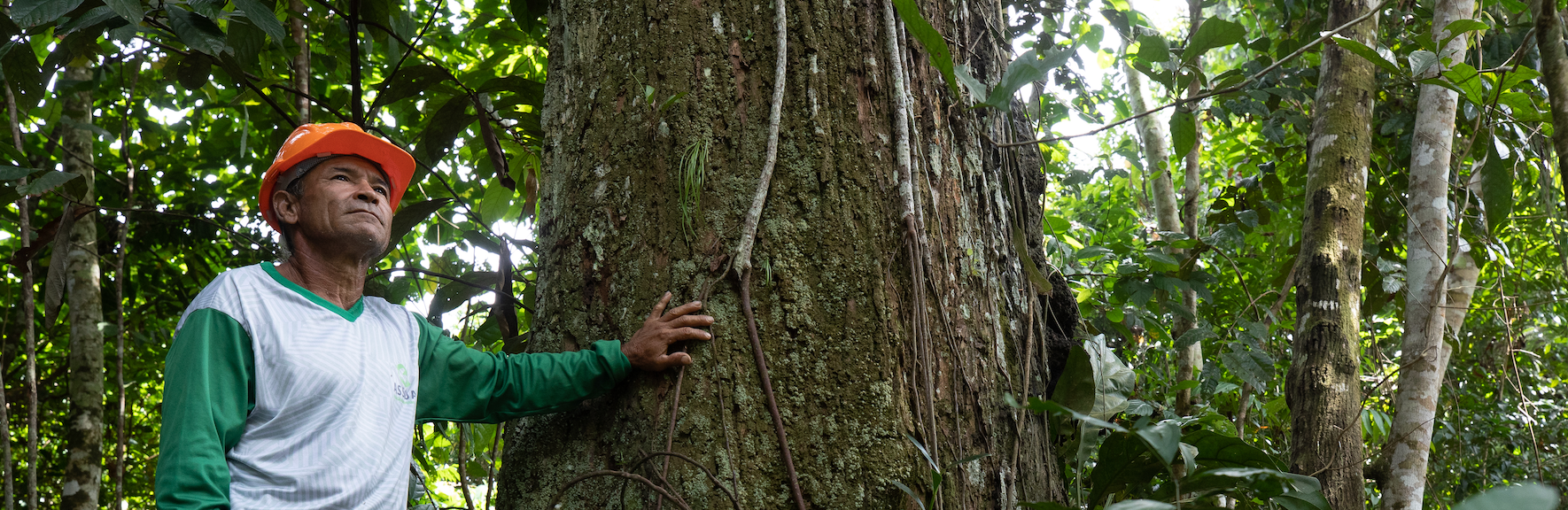 COP 30: Innovative and Sustainable Tourism: Insights for Advancing the Sociobioeconomy of the Amazon