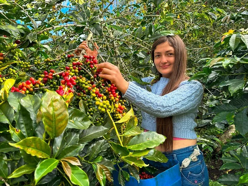 Finca Chorro Blanco