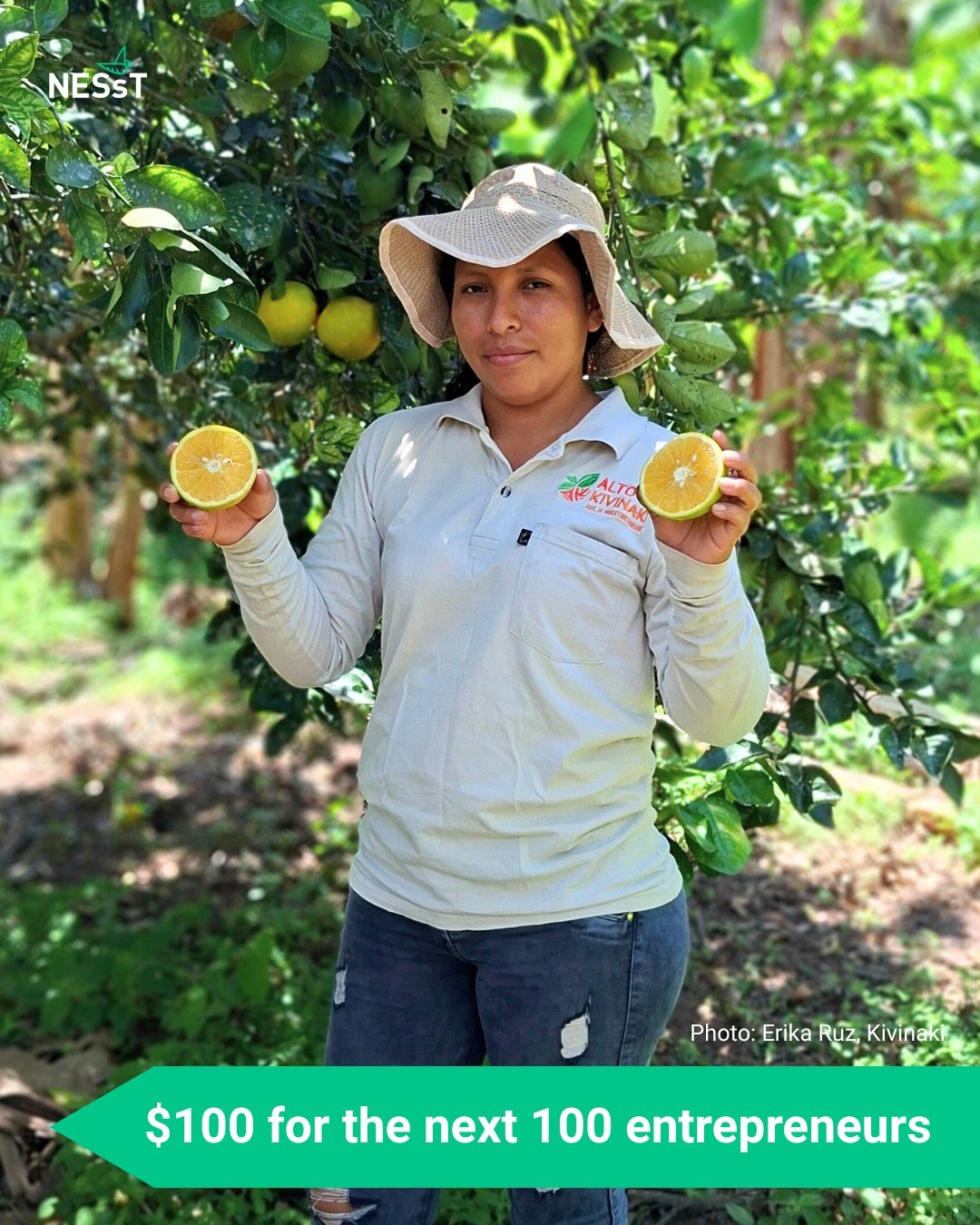 En la remota región de Perené, en el norte de Perú, una pequeña cooperativa trabaja codo con codo con pequeños productores para construir explotaciones resistentes y prósperas. 🧑‍🌾

Durante generaciones, las comunidades locales han dependido del café.