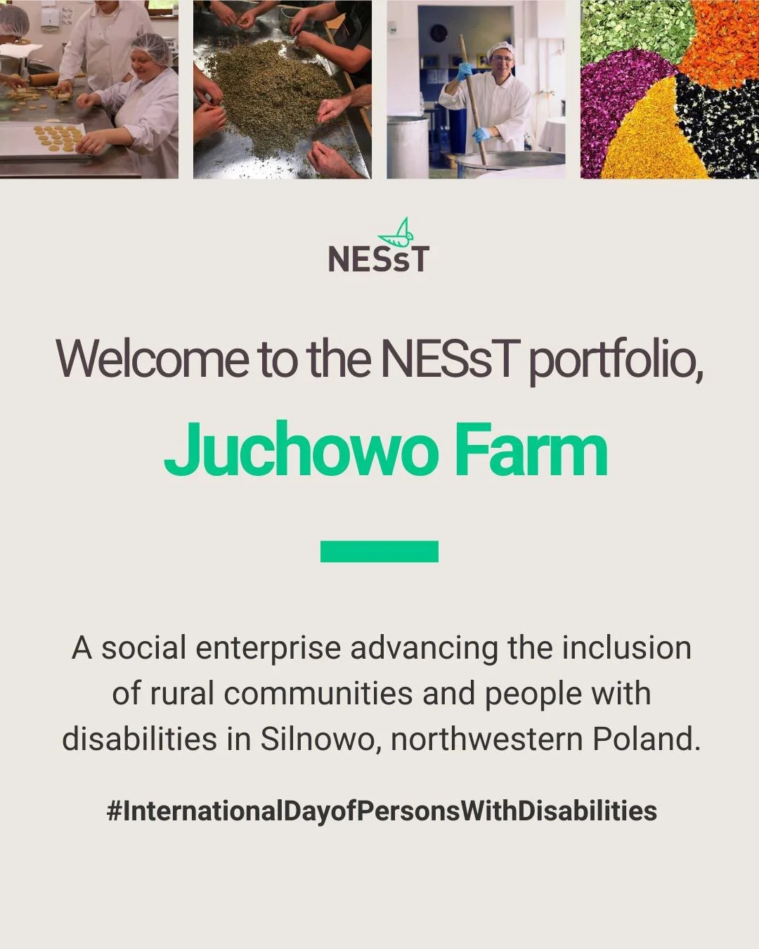 Hoje, no #DiaInternacionaldasPessoascomDeficiência, destacamos a importância de construir comunidades onde as pessoas com deficiência possam ter acesso a empregos dignos, superar a pobreza e participar plenamente da sociedade.

No noroeste da Polônia, um