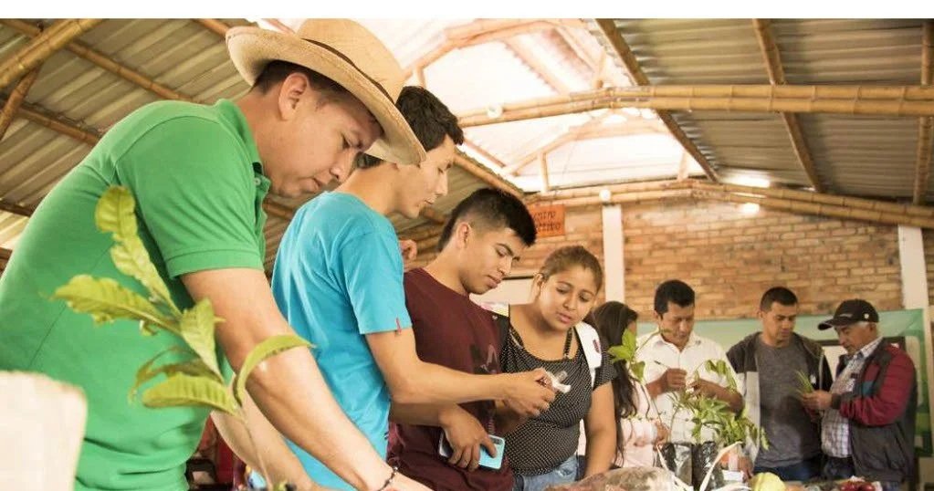 The NESsT Lirio Fund Invests in Federación Campesina del Cauca, a Long-Standing Coffee Cooperative in Colombia
