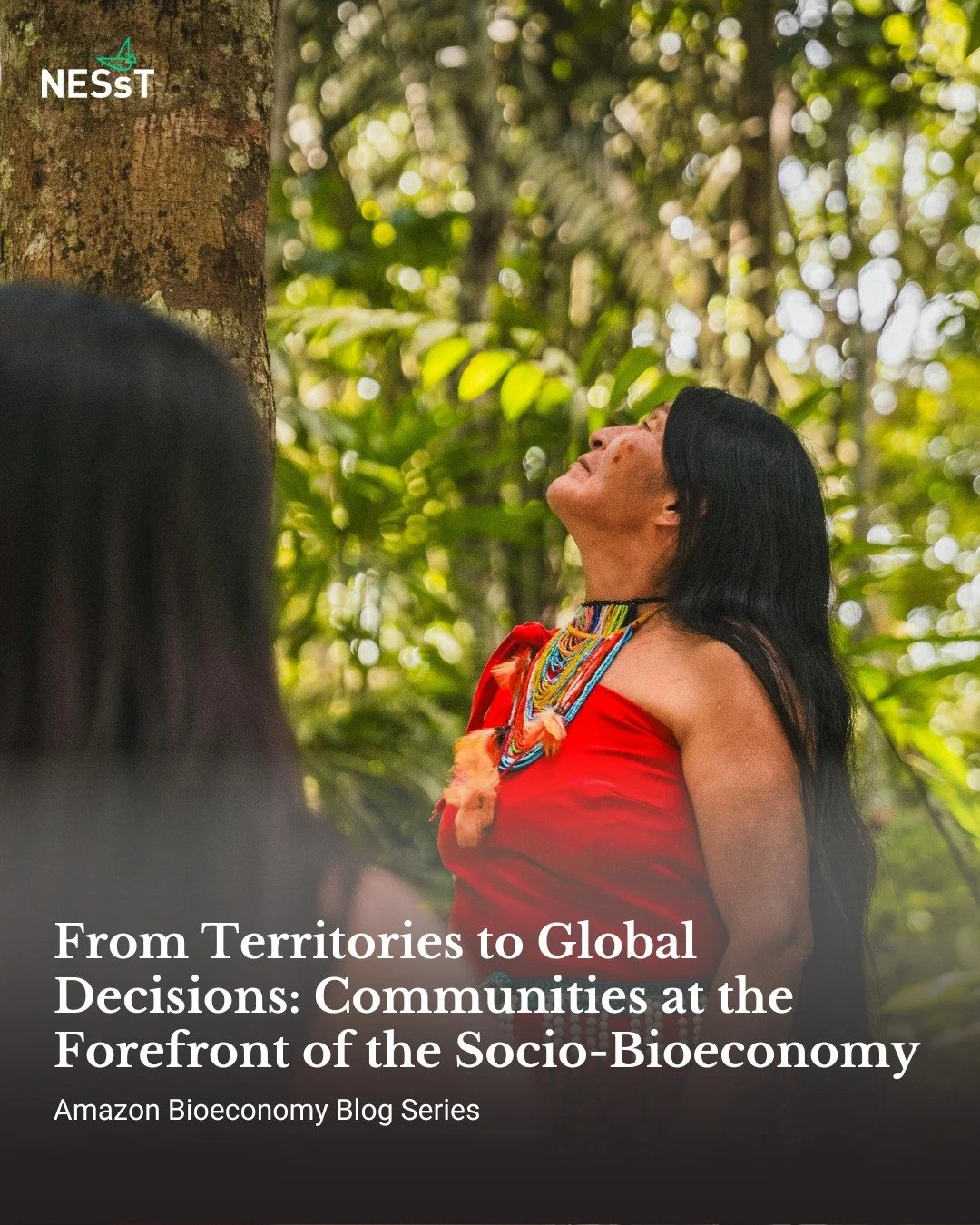 Cuando los pueblos y comunidades que viven en la Amazonía y la cuidan participan en los debates mundiales, surgen soluciones más justas, sostenibles y basadas en los conocimientos locales.

NESsT, junto con la Fundación Mott, amplifica esta presencia mediante 
