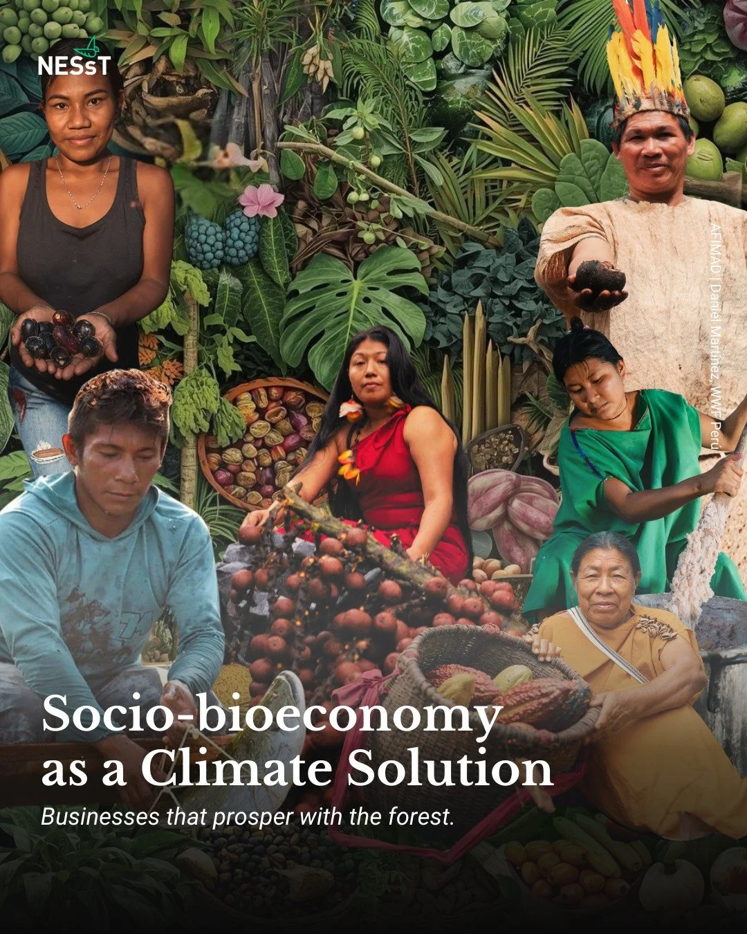 La socio-bioeconomía como solución climática 🌿✨

En toda la Amazonía y la Panamazonía, las comunidades indígenas, quilombolas, ribereñas y tradicionales están creando negocios que preservan la selva y, al mismo tiempo, generan ingresos y valor a nivel local.

Fo