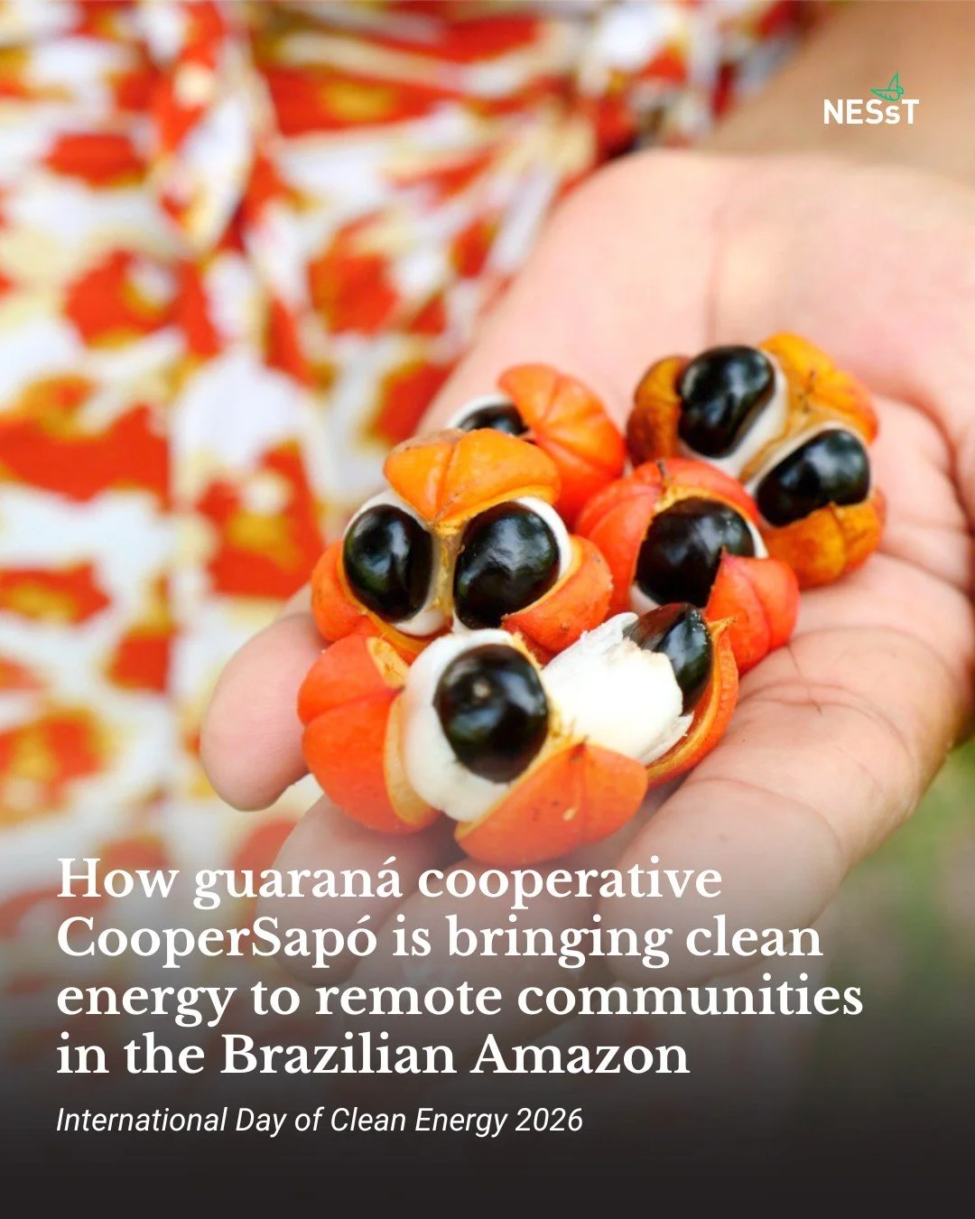 ☀️🔋 Você sabia que as empresas sociais desempenham um papel fundamental no fornecimento de energia limpa para comunidades rurais, remotas e sem acesso à rede elétrica? ☀️🔋
 
No município amazônico de Maués, onde a Coopersapó opera – uma área comparável em tamanho a