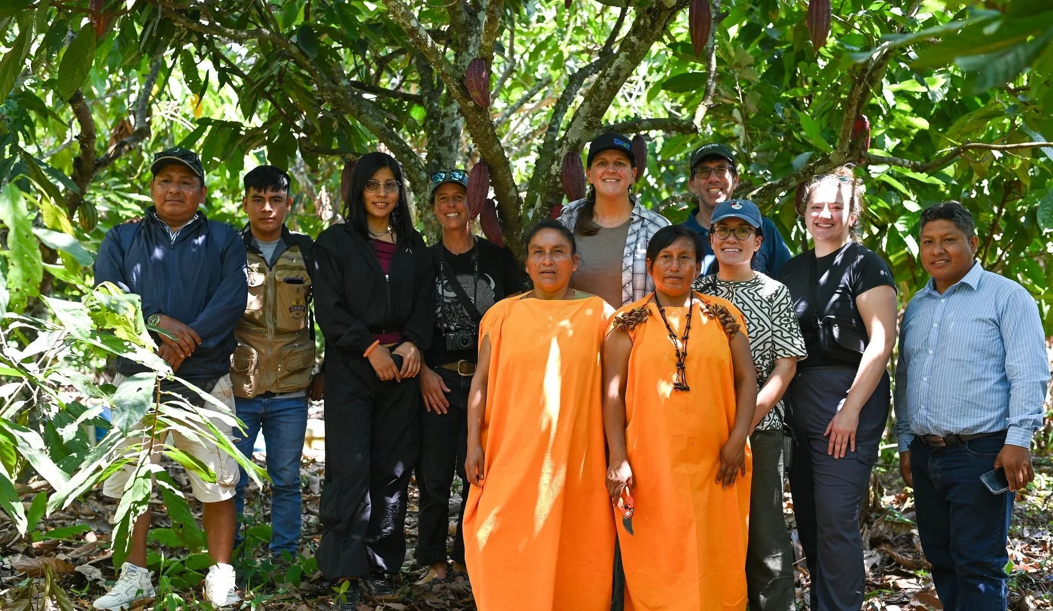 The Lirio Fund reinvests in organic cooperative COAS to ensure steady income for close to 600 smallholder producers in Junín, Peru 