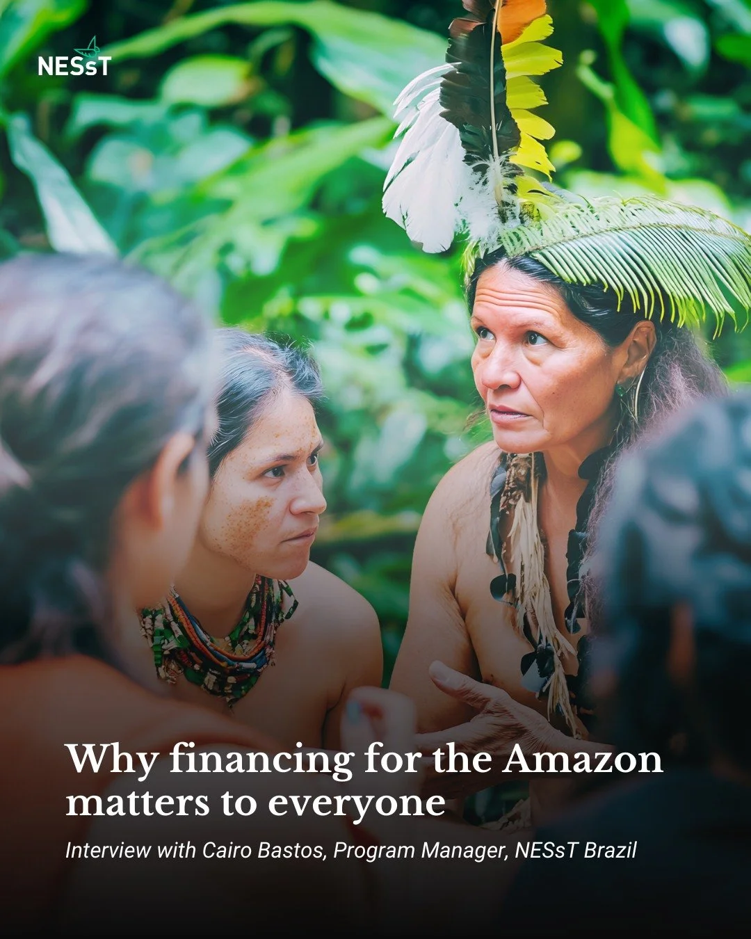 📣 New interview on the #NESsT blog

Why should financing for the Amazon matter to the average person? While financing for the Amazon is often discussed in abstract terms, in practice these decisions shape how public money is used, which businesses g