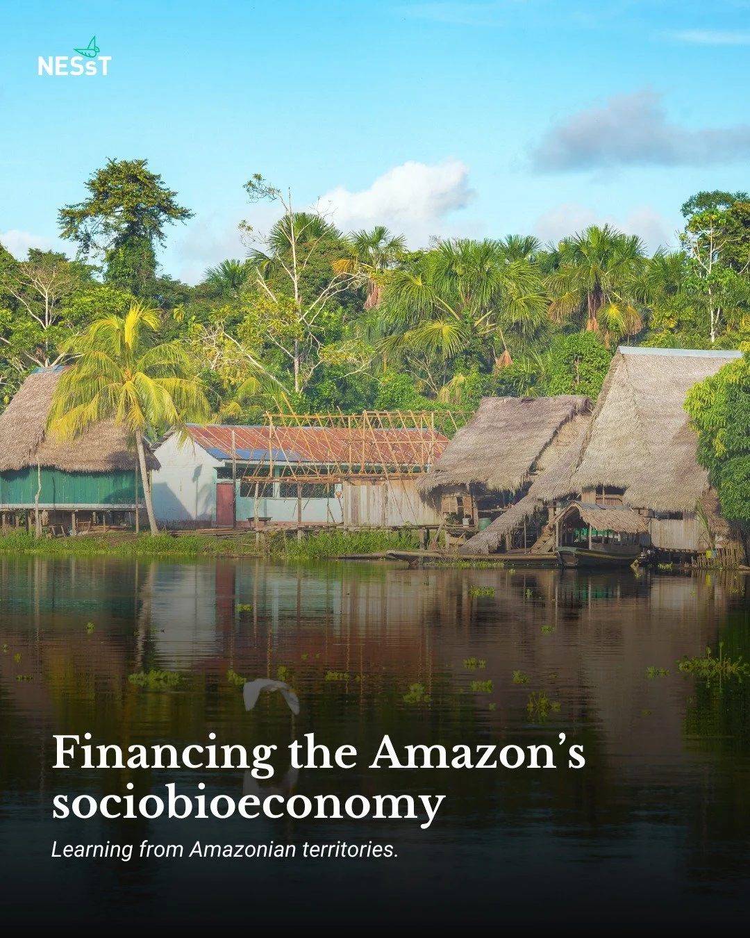 This carousel brings together key insights from our latest blog posts on financing the Amazon&rsquo;s socio-bioeconomy:

🌿 Communities at the forefront: from local territories to global decisions, Amazon voices share how community-led enterprises ar