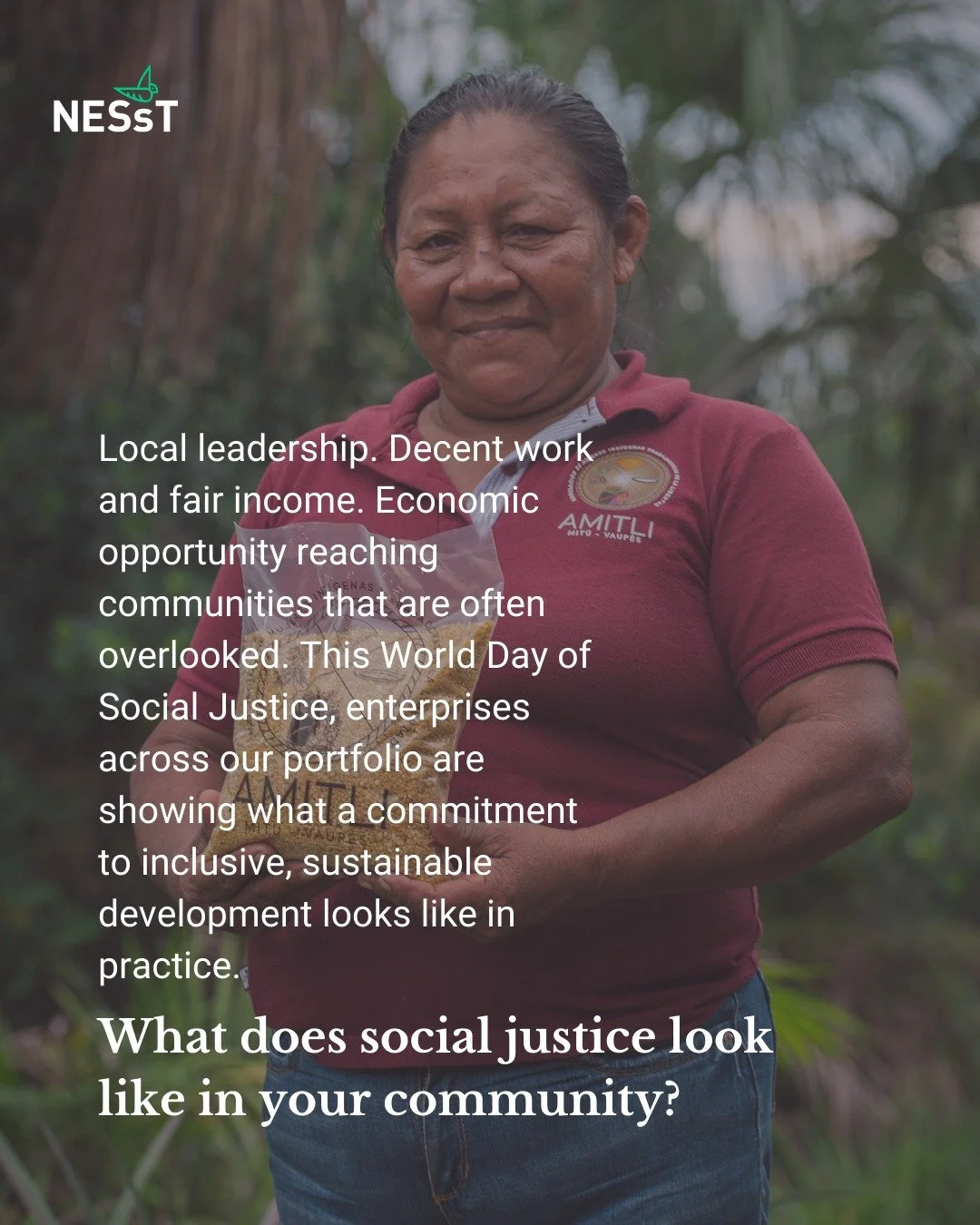 ¿Cómo se traduce en la práctica el compromiso con la justicia social?

En nuestra diversa Portafolio empresas sociales, nos enorgullece verlo en acción cada día: comunidades locales que lideran negocios prósperos; personas que obtienen ingresos estables y justamente remunerados.